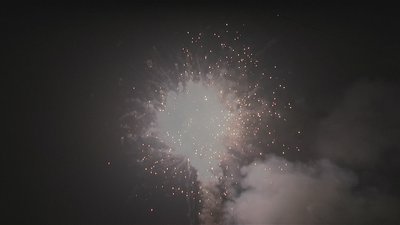 #7690 盆花0.8 100发数