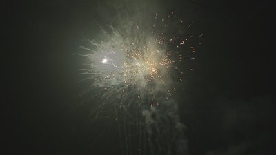 #15235 盆花0.8 25发数