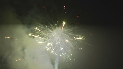 #17271 Cakes 1.2 36 shots