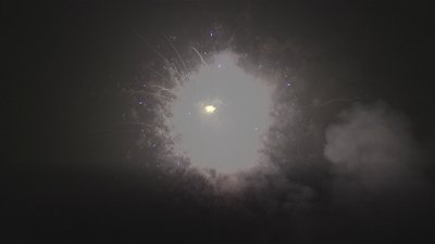 #14490 盆花0.8 64发数