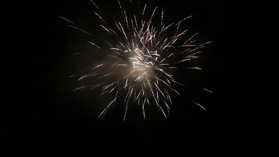 #17419 盆花1.2 16发数