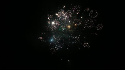 #17410 盆花0.8 25发数