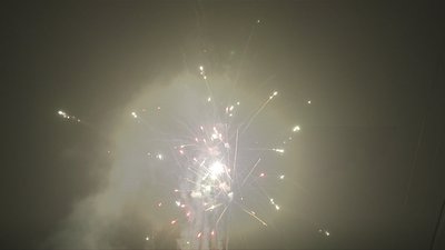 #17399 盆花88x1.0"/30x1.2" 118发数