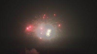 #17447 Tortas 1.0 120 tiros