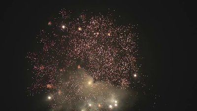 #17651 Cakes 98x0.6"/10x0.8" 108 shots