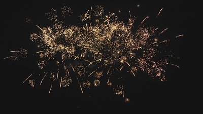 #17667 Cakes 1.0 16 shots