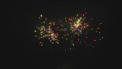 #17669 Cakes 1.2 25 shots