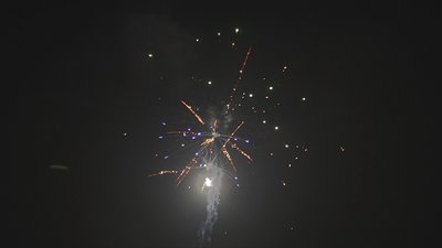 #17724 Module Cakes 0.8 16 shots
