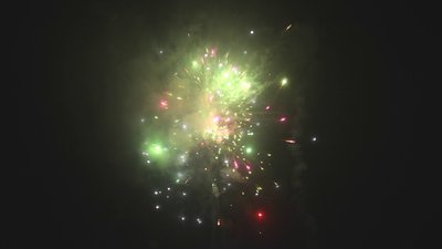 #17729 盆花1.2 16发数