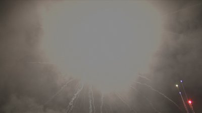 #17735 盆花1.5 9发数