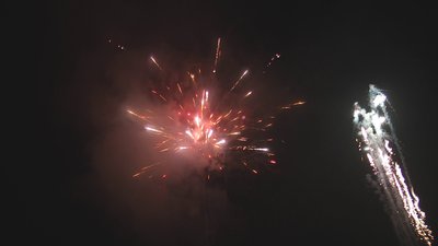 #17736 盆花1.0 12发数