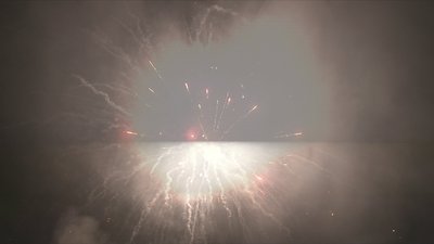 #17732 盆花1.2 30发数