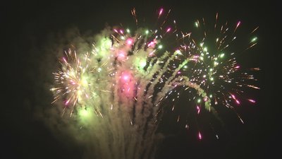 #17739 盆花81x0.6"/7x1.0"/5x1.2" 93发数