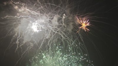 #17741 盆花1.2 30发数