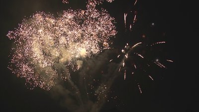 #17742 盆花34x1.0"/5x1.2" 39发数