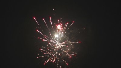 #17780 Cakes 60x0.8"/40x1.0" 100 shots