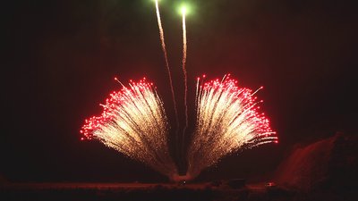 #17854 Row 1.2" 12 shots