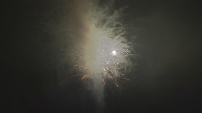 #17823 Cakes 1.2 100 shots