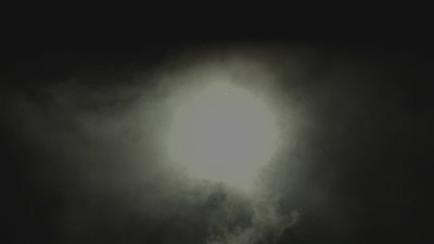 #17816 盆花0.8 48发数