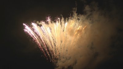 #17827 Cakes 1.2 100 shots