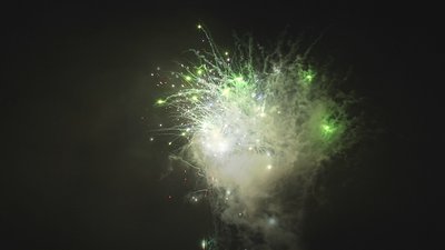 #17831 Cakes 1.2 100 shots