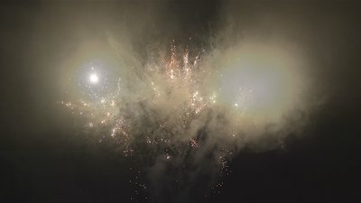 #17832 Cakes 1.2 100 shots