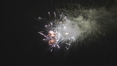 #17817 盆花1.0 60发数