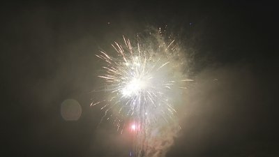 #17856 Cakes 1.2 100 shots