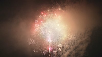 #17858 Cakes 1.2 100 shots