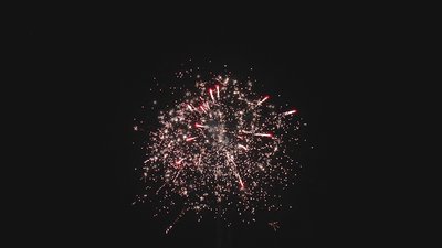 #17816 盆花0.8 48发数