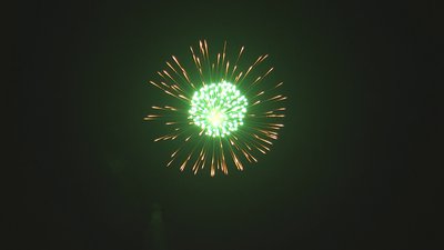 #16042 Shell 6.0"