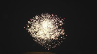 #18291 Tortas 1.5 9 tiros