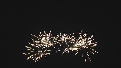 #18335 Compact 1.2 49 coups