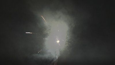 #17393 盆花72x1.0"/24x1.2" 96发数