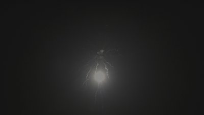 #16412 Roman Candles 0.8" 5 shots