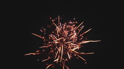 #18413 Compact 1.0 80 coups