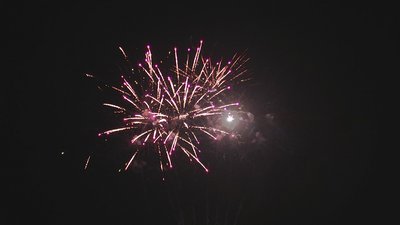 #18421 Tortas 1.2 49 tiros