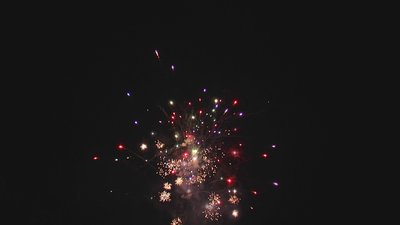 #18456 盆花1.0 16发数