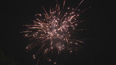 #18467 Compact 12x1.2"/2x1.5" 14 coups