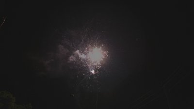 #14404 盆花1.2 25发数