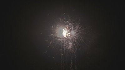 #8325 Cakes 0.8 7 shots