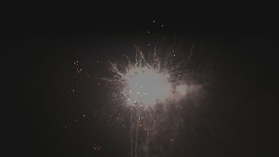 #7303 盆花0.8 16发数