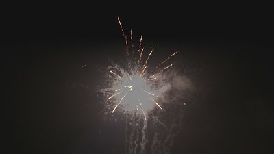 #15235 盆花0.8 25发数