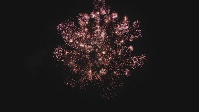 #15235 盆花0.8 25发数