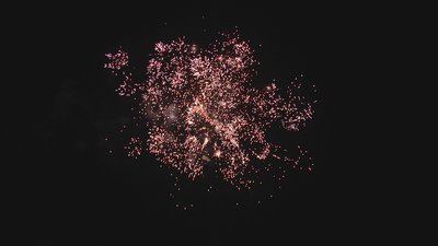 #15235 盆花0.8 25发数