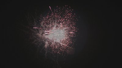 #15284 盆花1.2 100发数