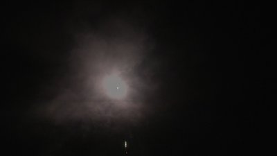 #6546 Cakes 0.8 25 shots