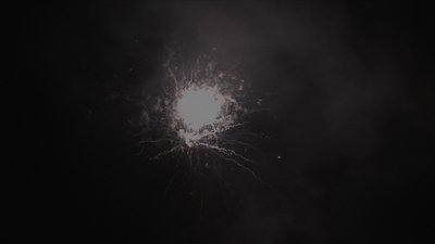 #14493 盆花1.0 10发数