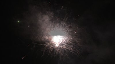 #15108 盆花1.2 36发数