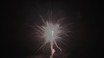 #18802 盆花1.2 25发数